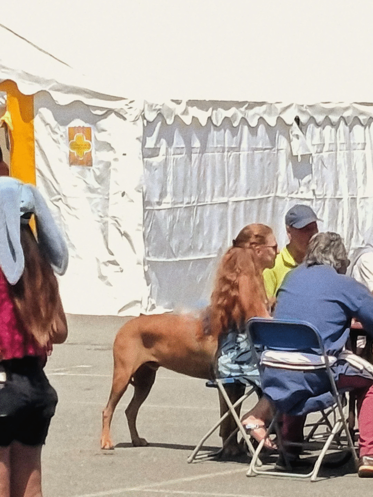 woman and dog