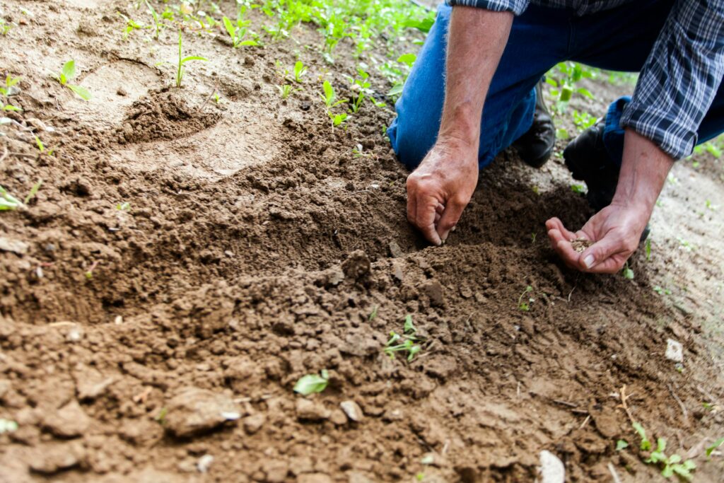 man planting in the soil