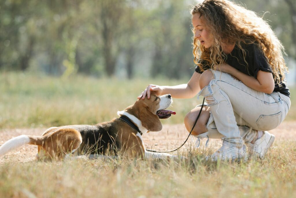 Young ethnic guy with curious dog looking out window