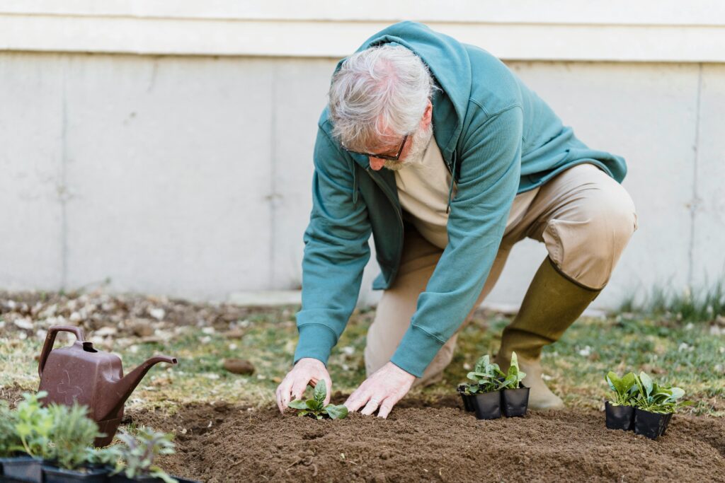 man planting plants