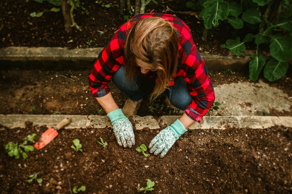 Woman Planting Flowers in Garden