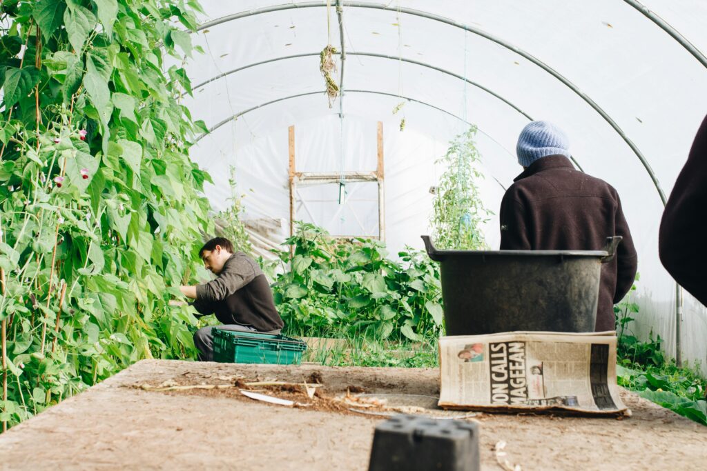 man gardening in green house