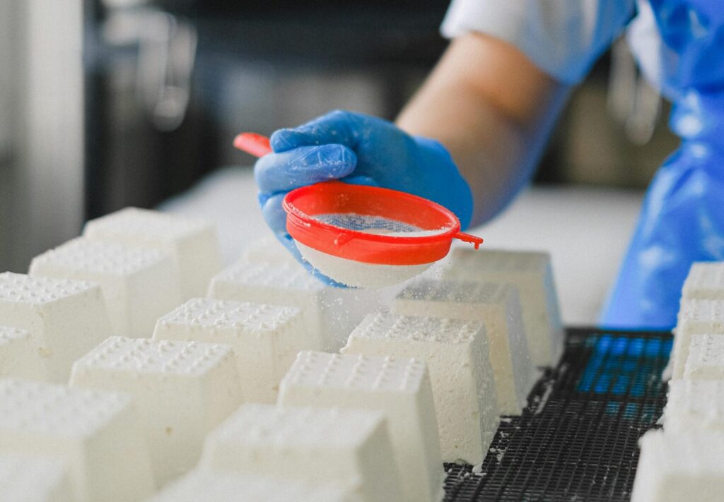 Ricotta Production in a Dairy Factory