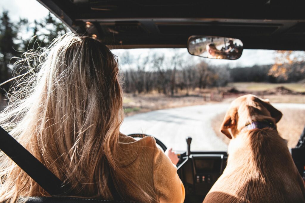 dog and woman in car
