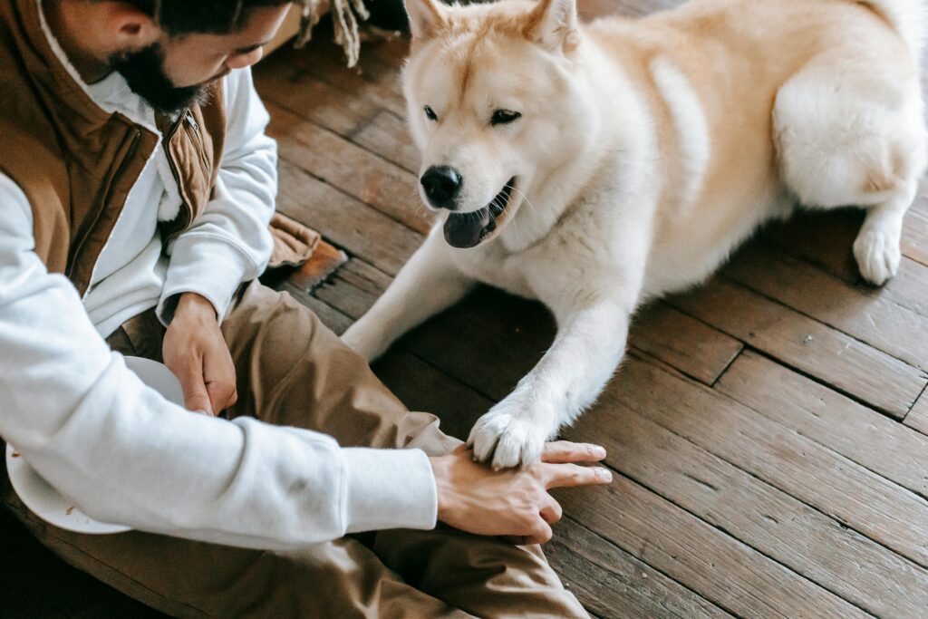 man teaching dog to sit