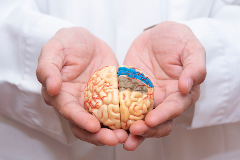 Doctor using finger to hold a brain model with both hands in concept of taking care the brain