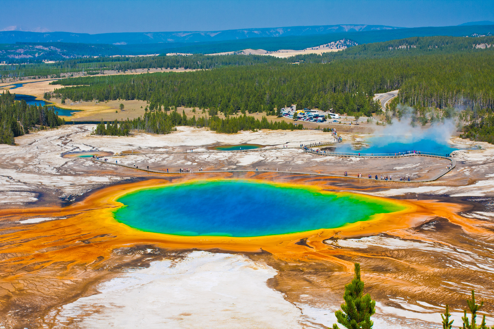 Yellow stone national park spring
