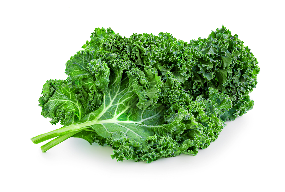 Carrots of different varieties with green tops. A bunch of carrots of different colors on a gray background.