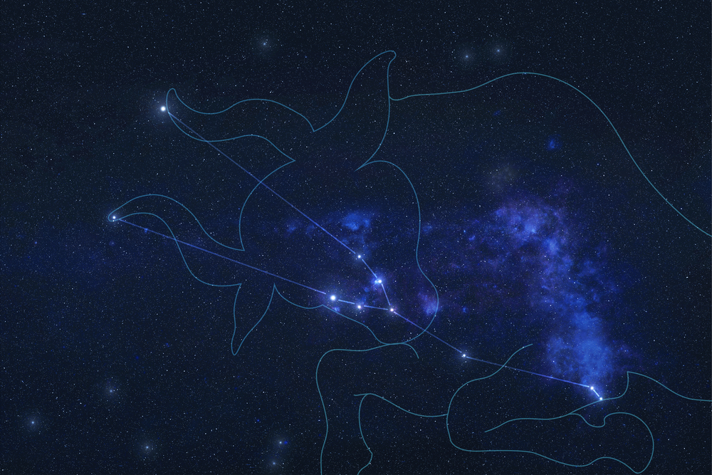 constellation of taurus