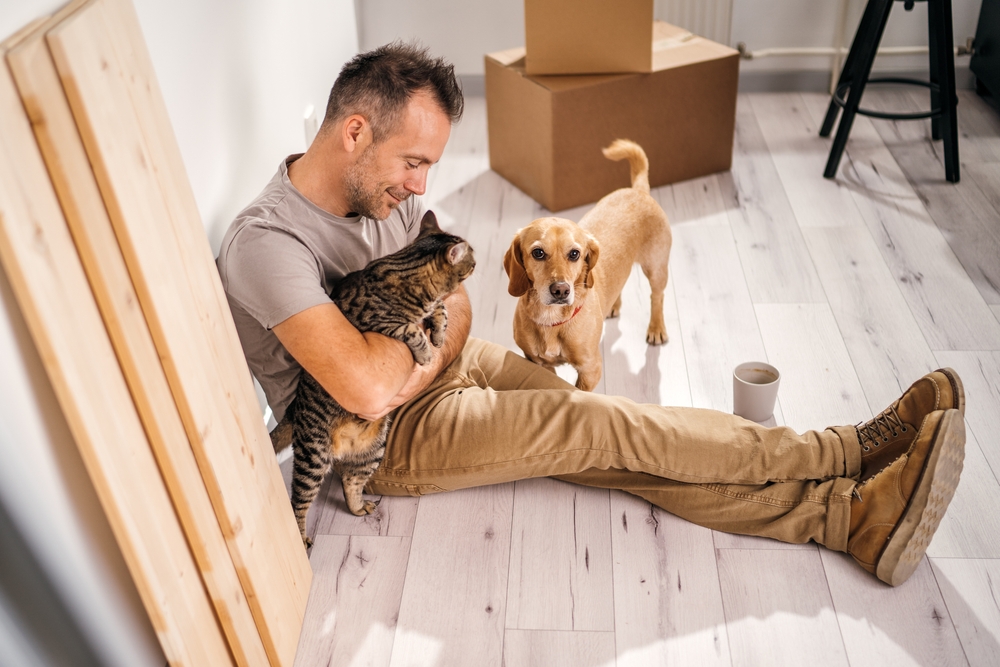 pets being an inspiration while fixing things at home
