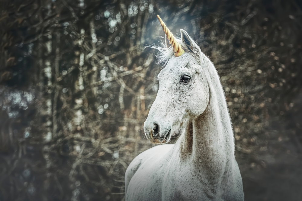 Portrait of a white arabian horse dressed as unicorn outdoors