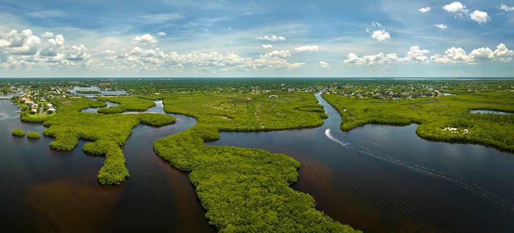 View from above of Florida everglades with green vegetation between ocean water inlets. Natural habitat of many tropical species in wetlands