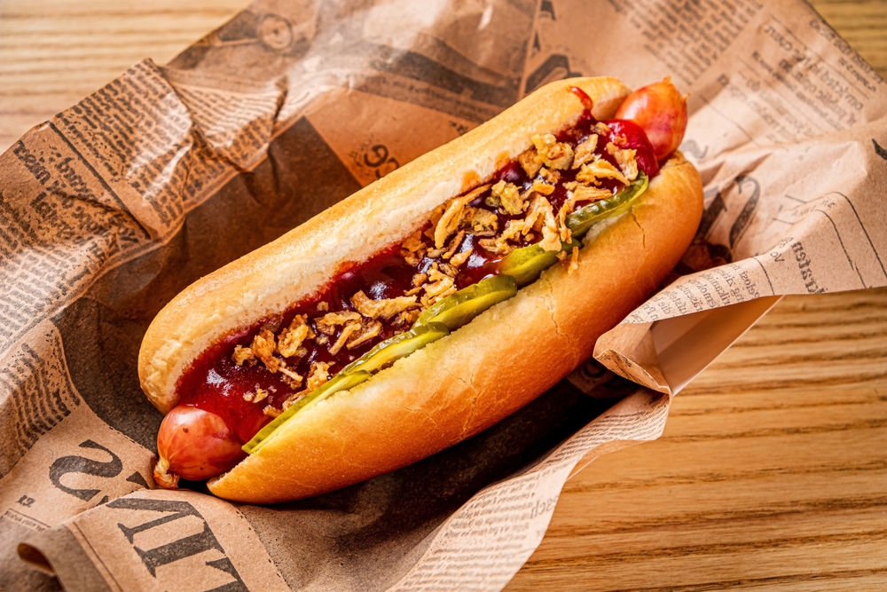 tasty hot dog on the plate