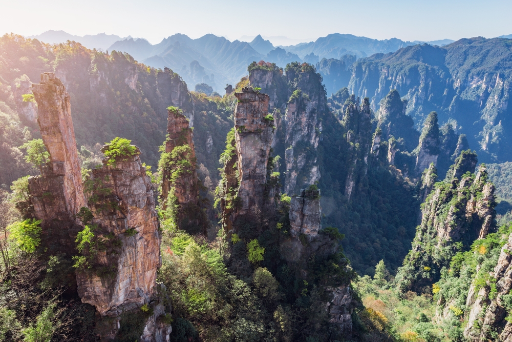 Colorful cliffs in Zhangjiajie Forest Park. China.