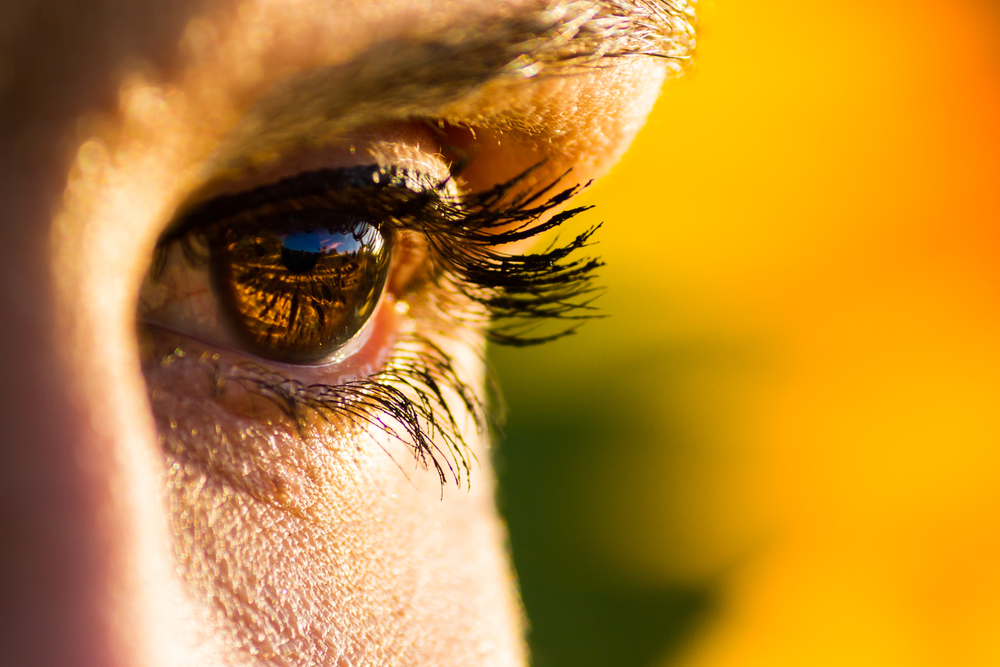 Eye of a woman observing the sunset in a sunflower field