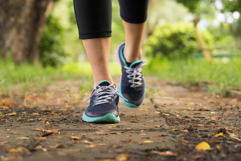 person walking on leaves