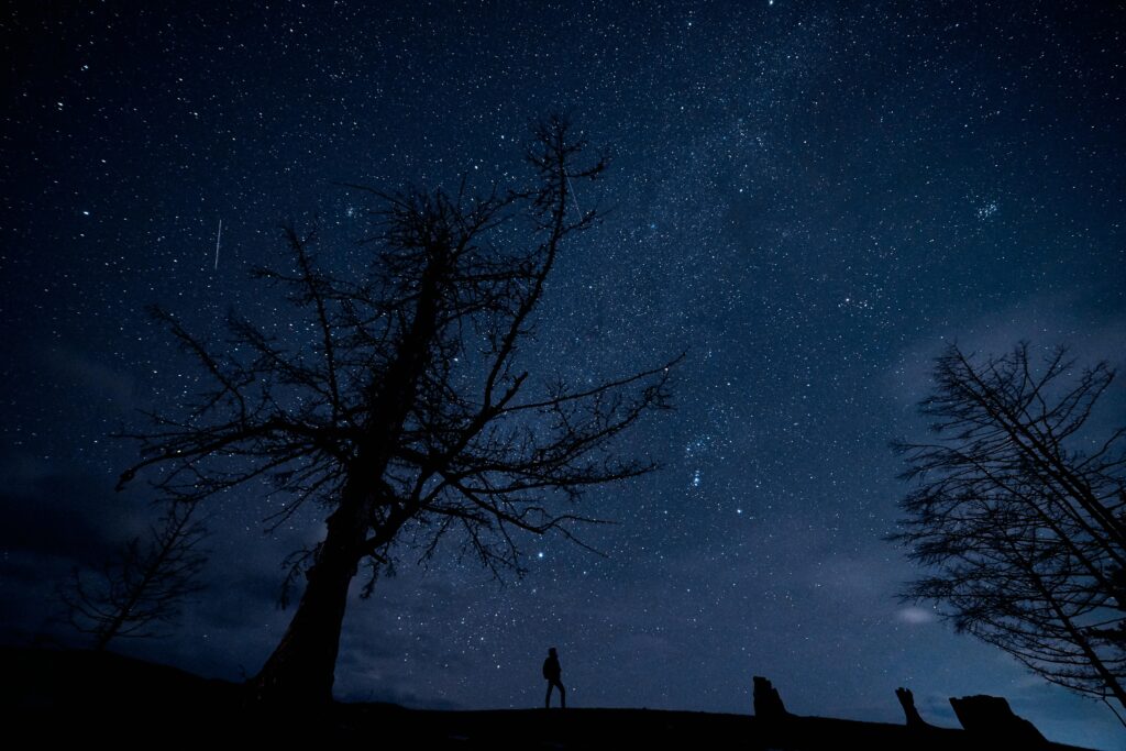 person looking at dark blue sky
