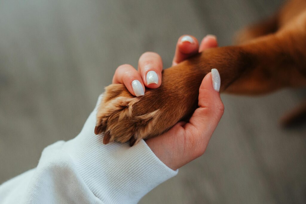 woman holding the paw of a dog