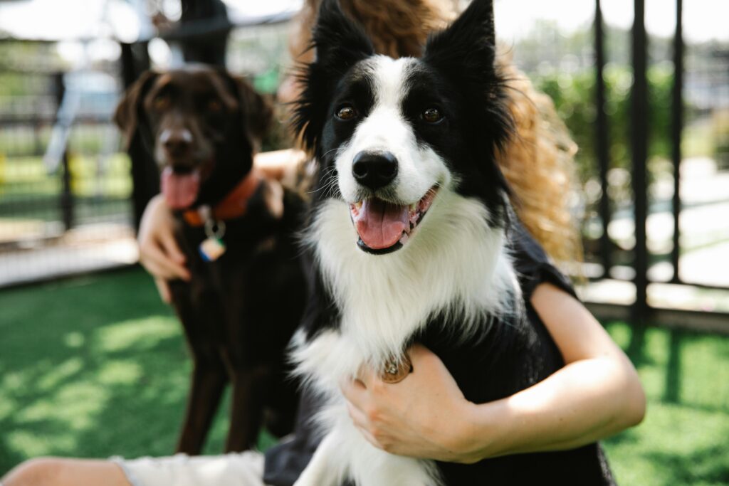 woman holding two dogs