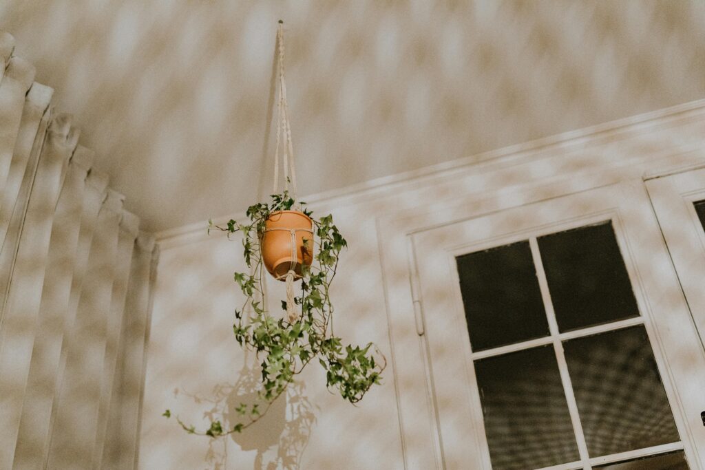 macrame plant hanger