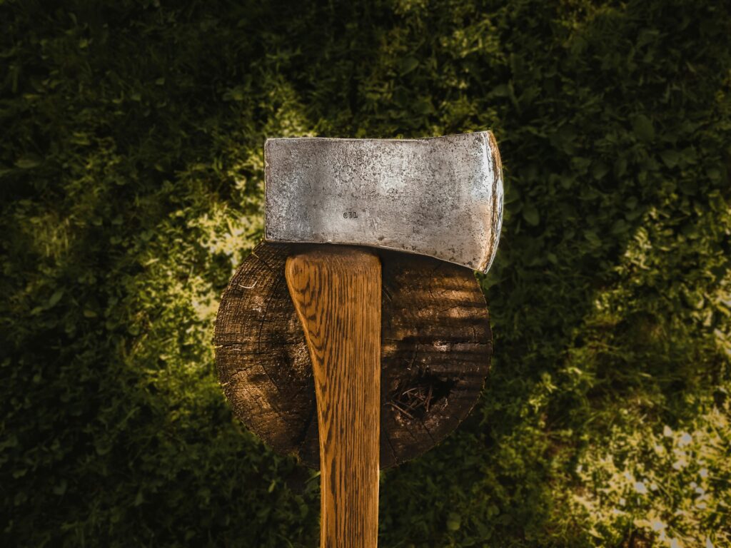 image of ana axe