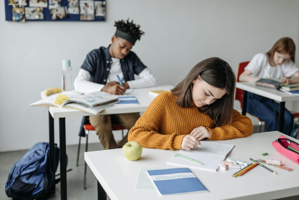 students studying in class