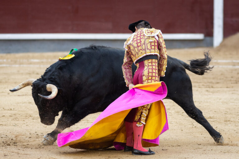 Mexico City Officially Ends Bullfighting After 500 Years in Landmark Animal Rights Win - Featured image