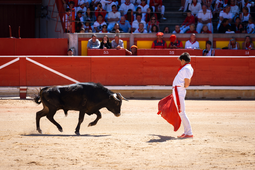PAMPLONA, SPAIN - JULY 13: Young bullfighter in Pamplona bullring at San Fermin festival on July 13, 2015 in Pamplona, Spain