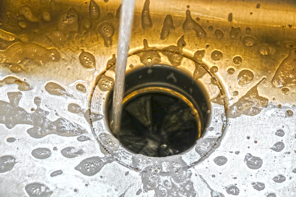 garbage disposal and water