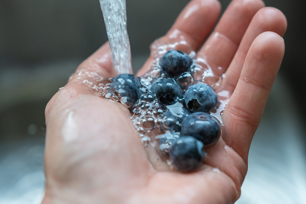 washing blue nerries with fresh water in hand