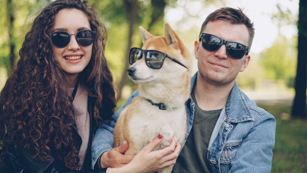 Portrait of cute couple and shiba inu dog all wearing sunglasses looking at camera and smiling sitting on grass in park. Modern lifestyle, cute animals and summer nature concept.