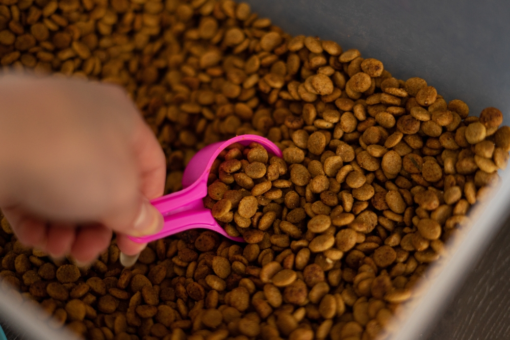 dry pet food