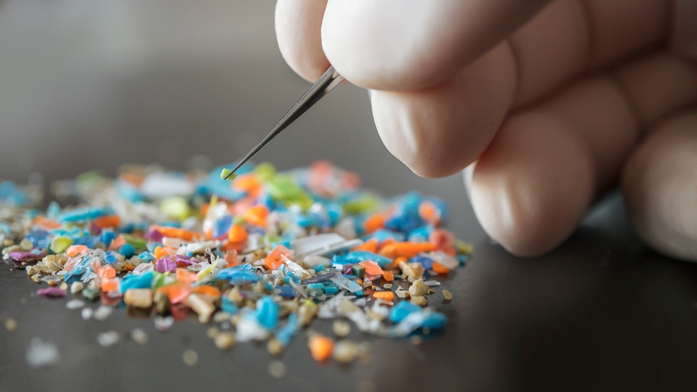 Macro shot of a person with medical gloves and tweezers inspecting a pile of micro plastics. Concept of water pollution and global warming. Macro shot of microplastics.
