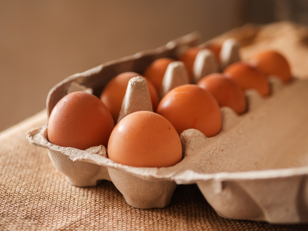Dozen Brown Eggs in Cardboard Carton