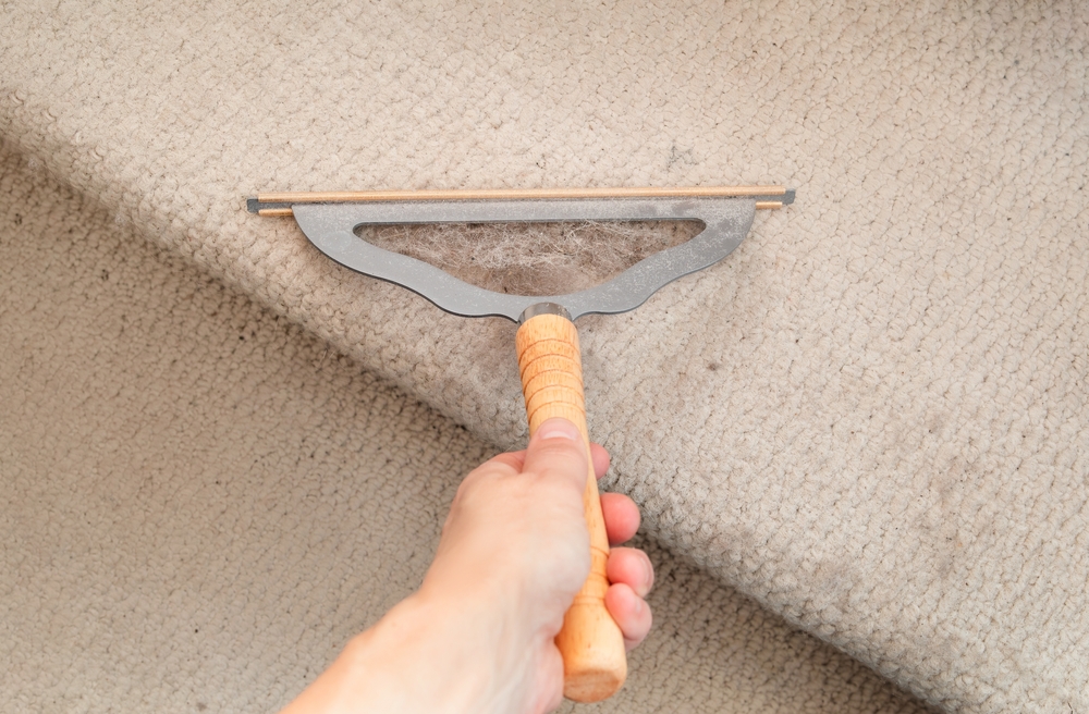 carpet rake