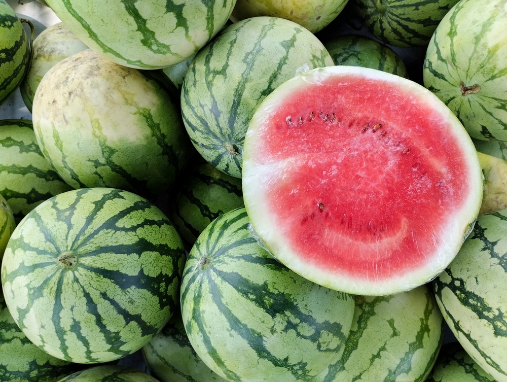 Whole and half sliced watermelons as background. Tropical fruit that is rich in water content, sweet and fresh. There are watermelons without seeds and watermelons with seeds.