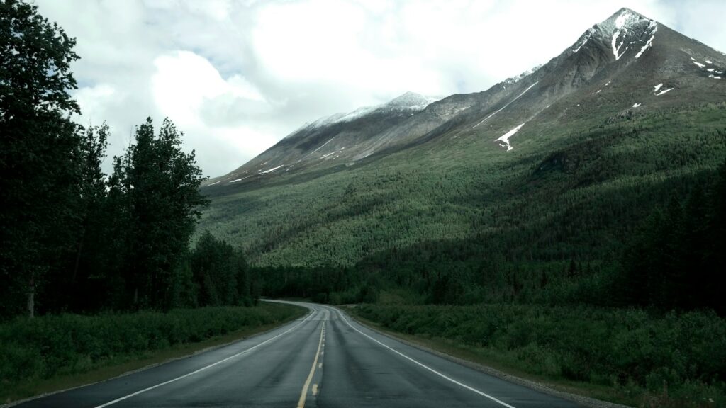 gray asphalt road in between green trees
