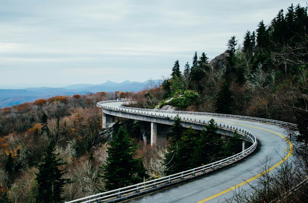 curvy gray concrete road surrounded with trees at daytime
