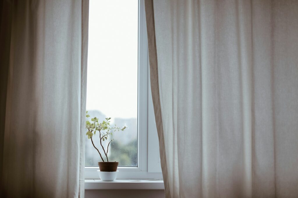 potted plant on window with curtain
