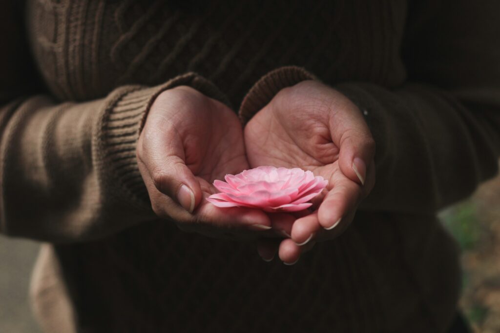 person holding pink-petaled flower
