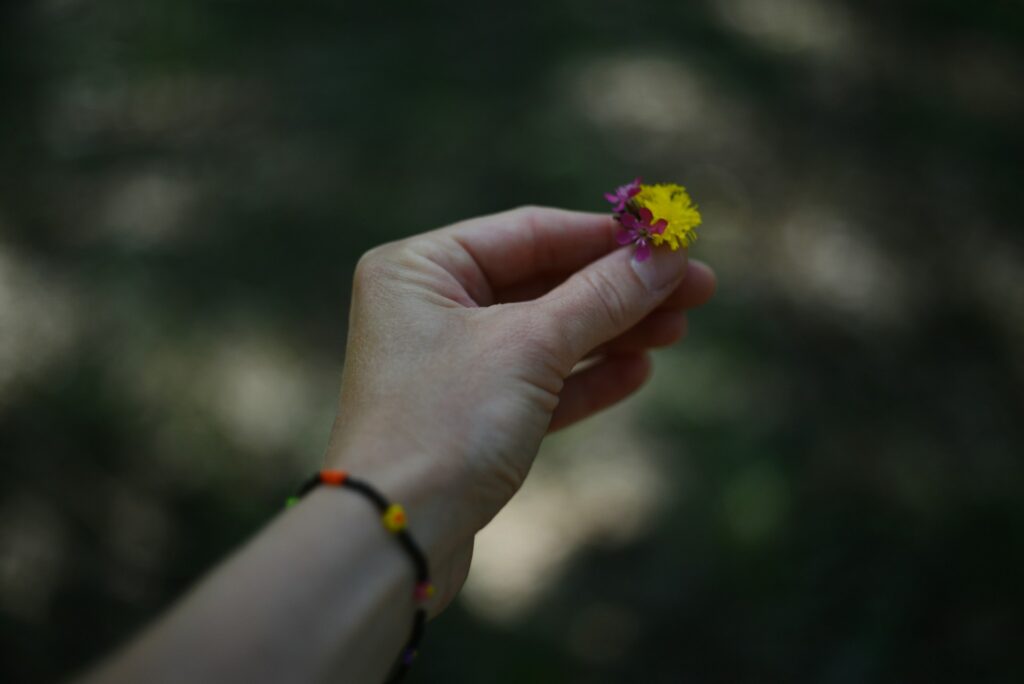 a person holding a small yellow flower in their hand
