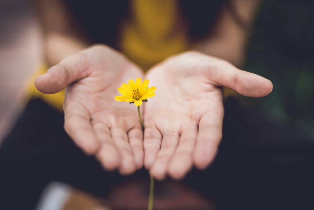 selective focus photography of woman holding yellow petaled flowers
