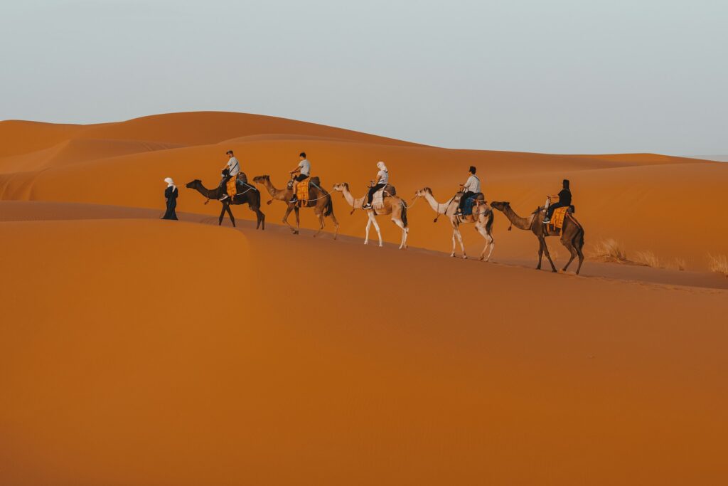 a group of people riding camels across a desert
