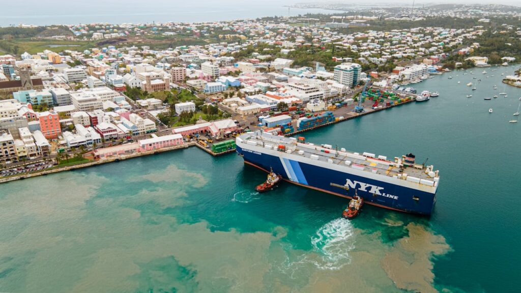 Cargo Container Ship on Body of Water Near Town
