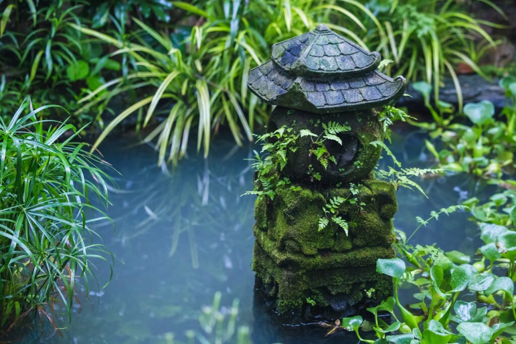 Green Plants Beside Body of Water