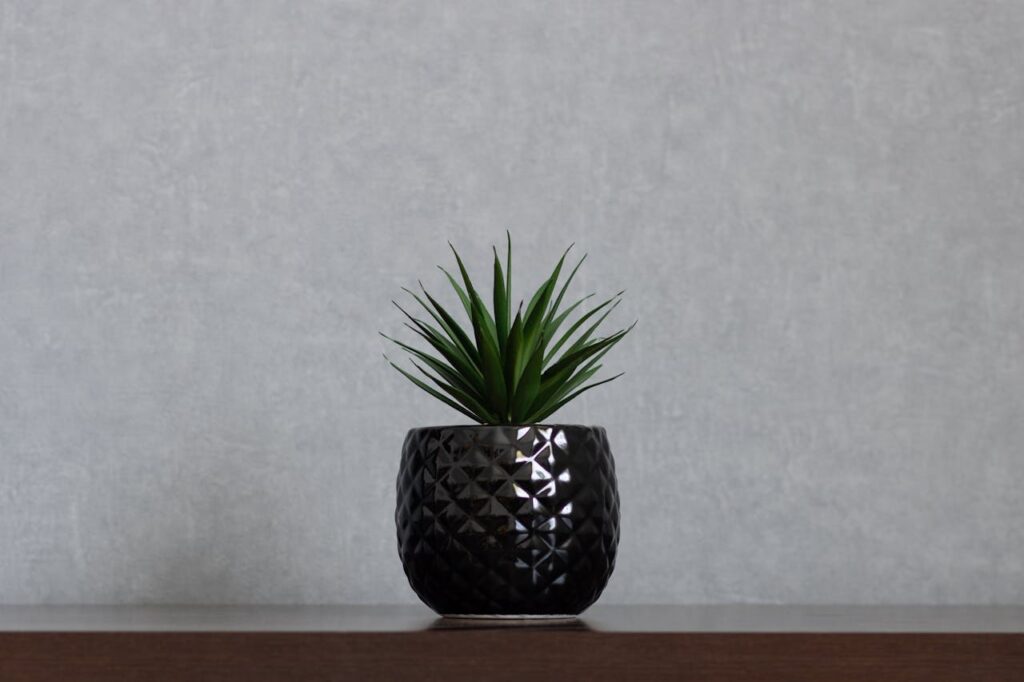 Artificial succulent plant with long pointy green leaves in black textured vase centered on shelf. Empty space on clean background. Minimalism and home decor concept
