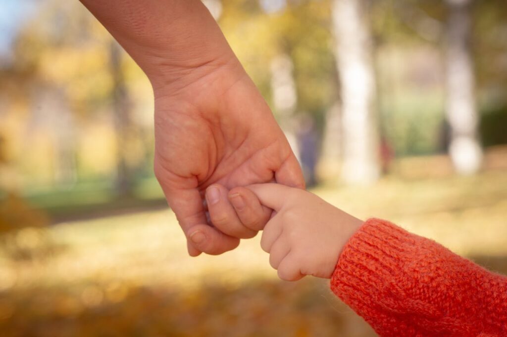 Child Holding Parent's Hand in Autumn Park
