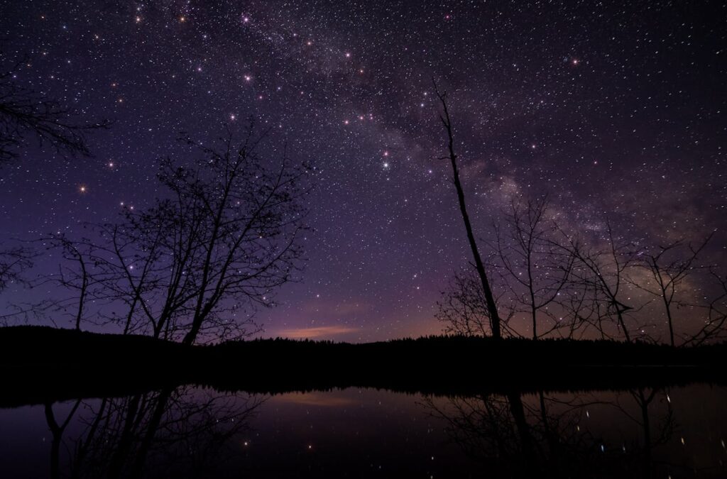 Leafless Trees Under Starry Night Sky
