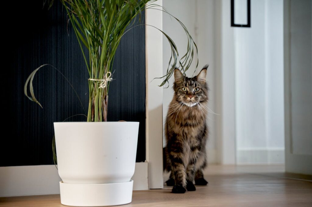 A Cat Sitting next to a Plant in a Room
