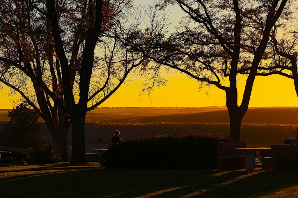 a person sitting on a bench in front of a sunset
